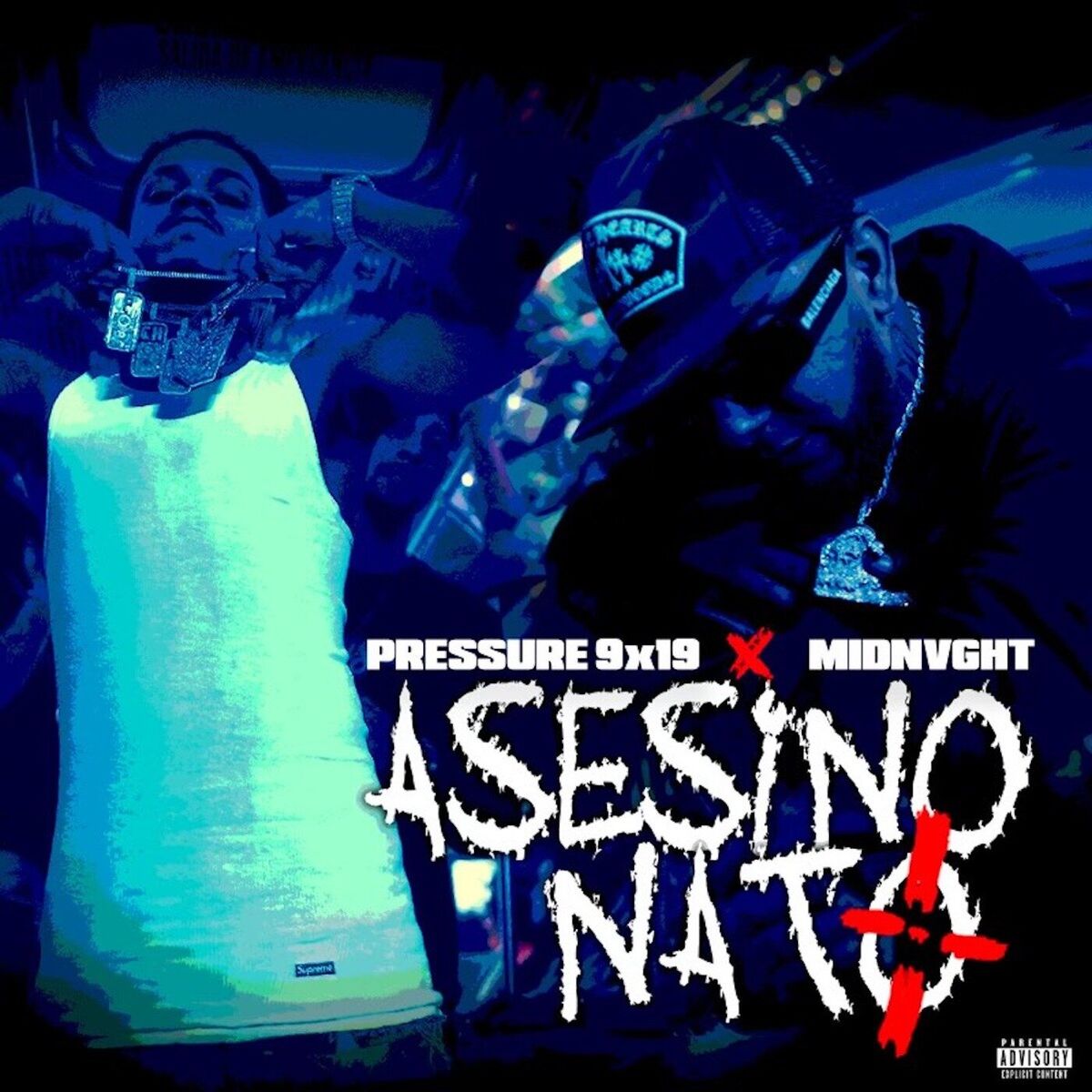 Album cover of AsesinoNato