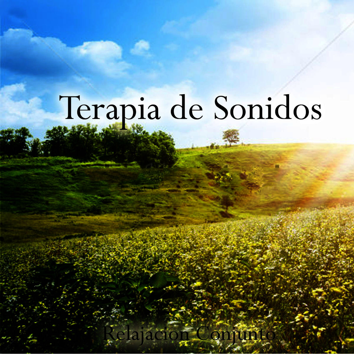 Album cover of Therapy with Reiki Sounds