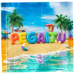 Cover of Pegaitu