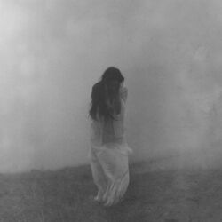Cover of When I'm Gone