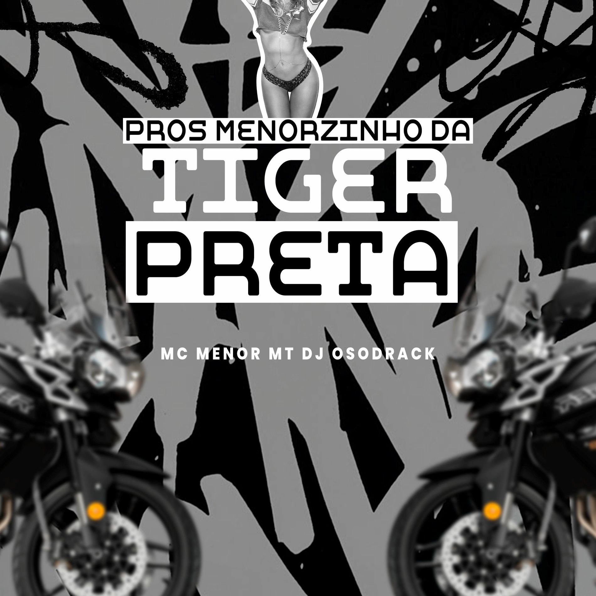 Album cover of PROS MENORZINHO DA TIGER PRETA