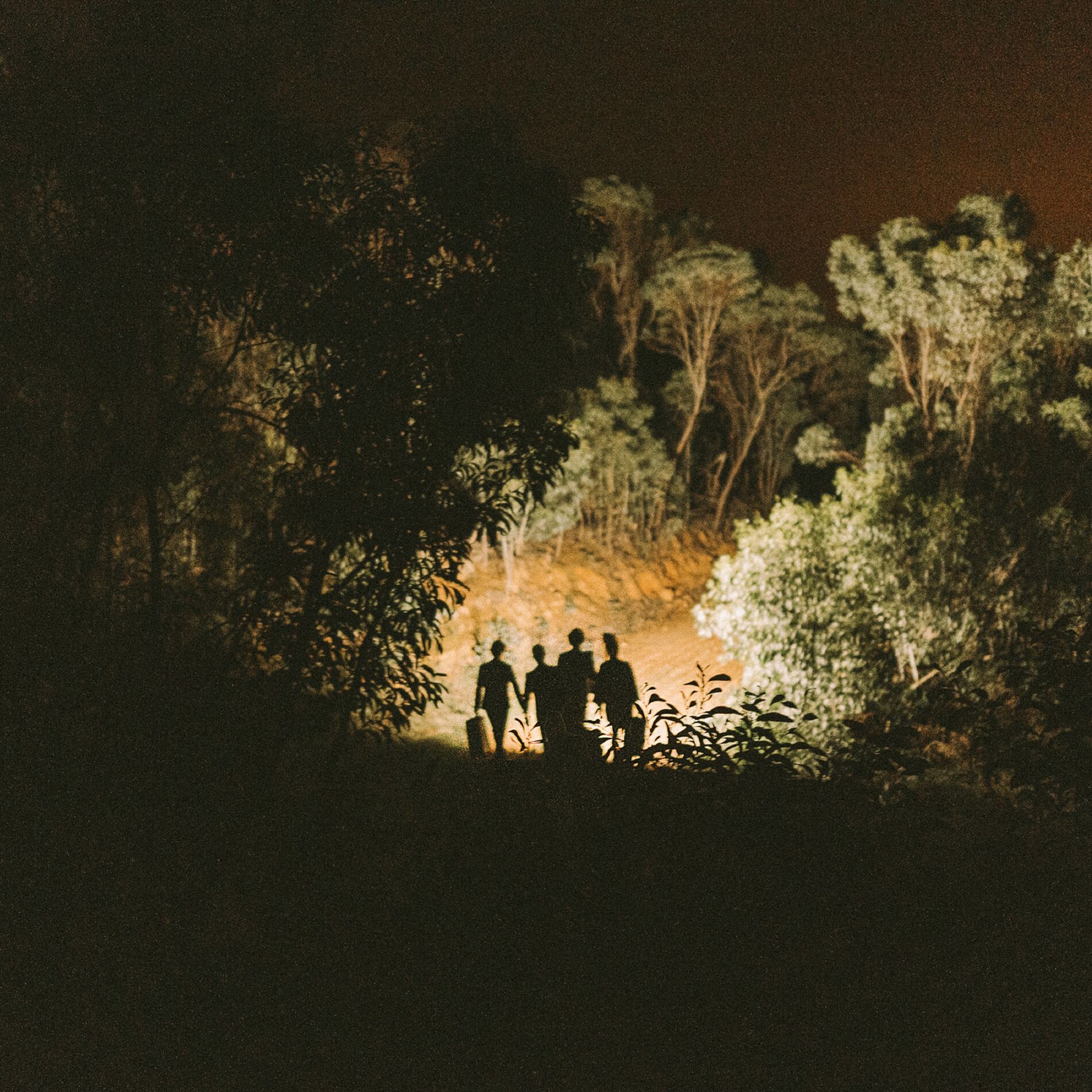Album cover of Jungle Yes