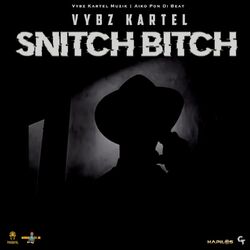 Cover of Snitch Bitch