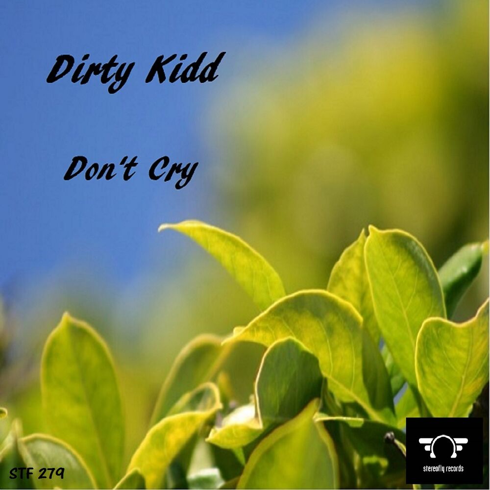 Picture of Don't Cry