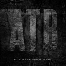 Cover of Lost In The Static