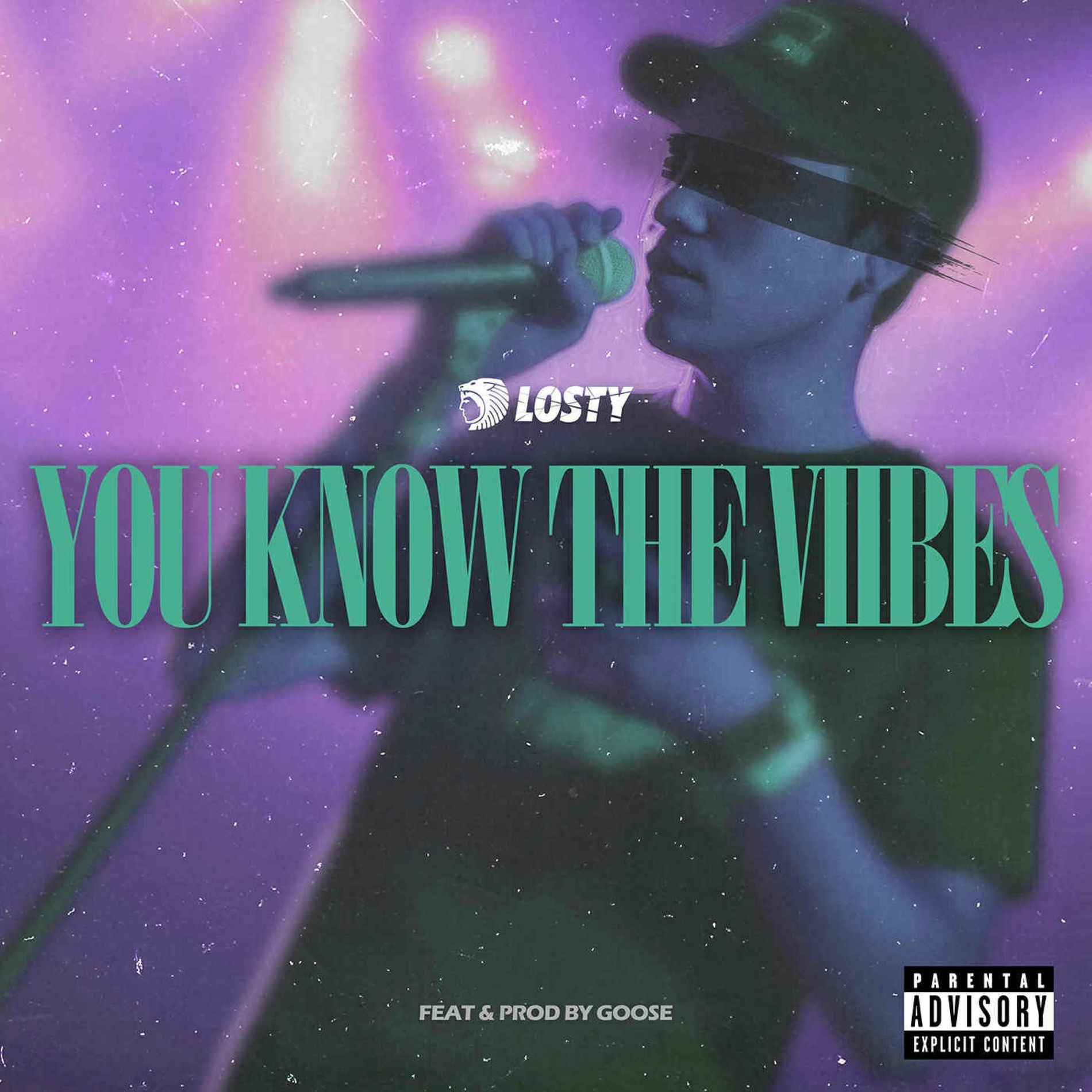 Album cover of You know the vibes (feat. Goose)