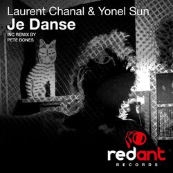 Cover of Je Danse