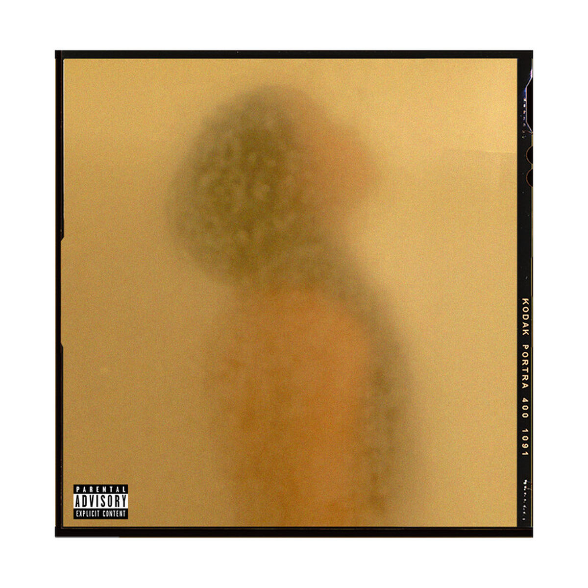 Album cover of Shitty Day