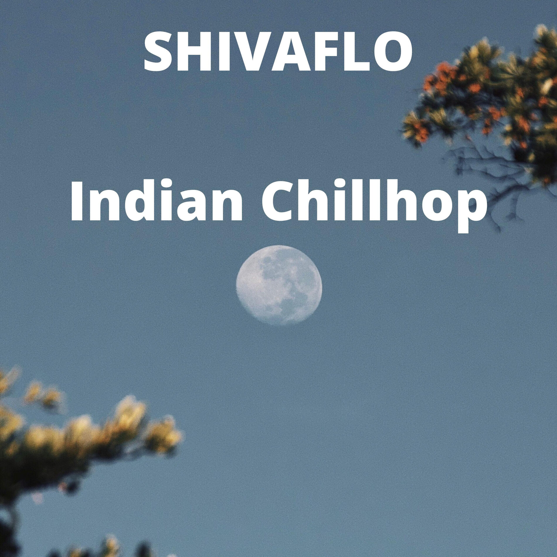 Album cover of Silsila Indian Chillhop Music