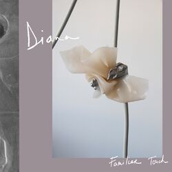 Cover of Familiar Touch