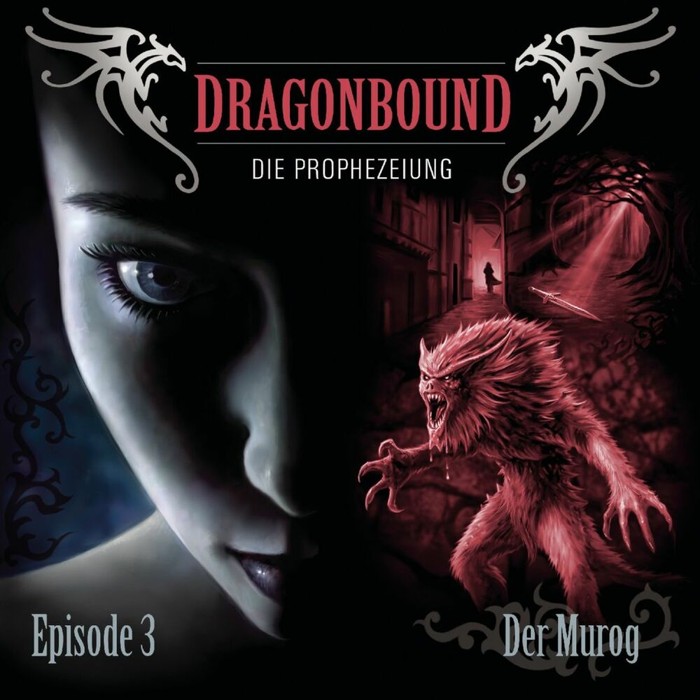 Picture of 03/Der Murog