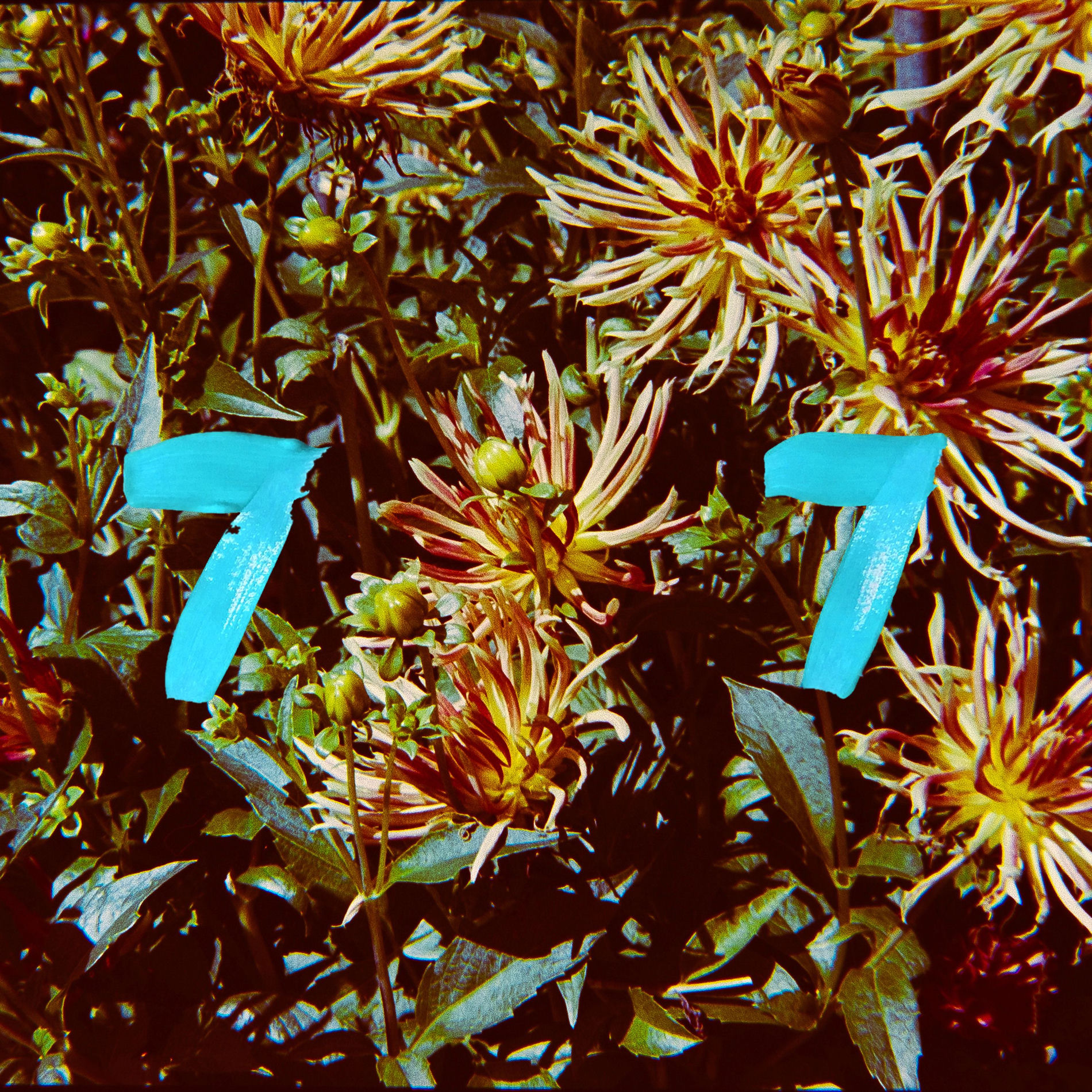 Album cover of Fleur