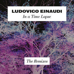 Cover of In A Time Lapse - The Remixes