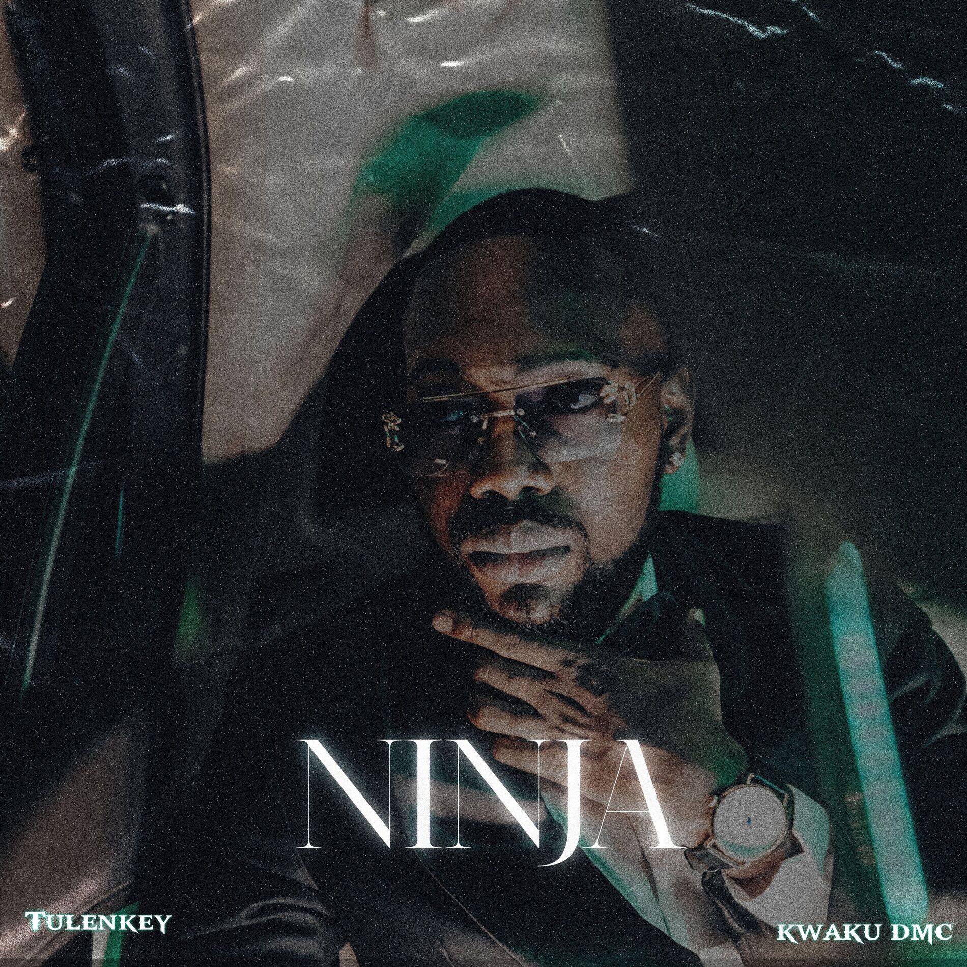 Album cover of Ninja