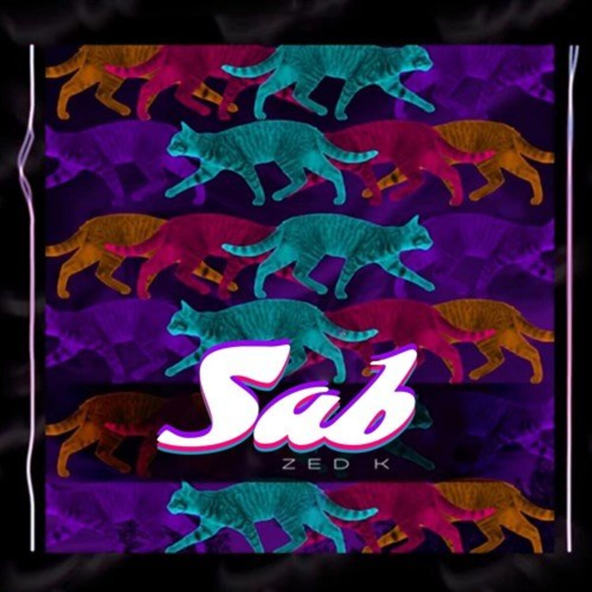 Album cover of Sab