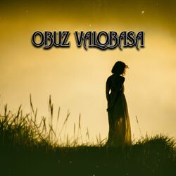 Cover of Obuz Valoabasa