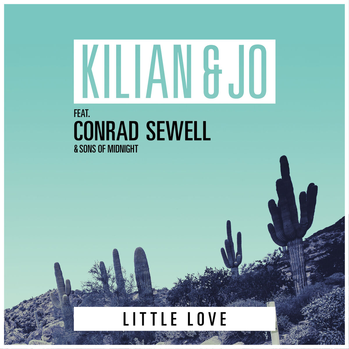 Album cover of Little Love