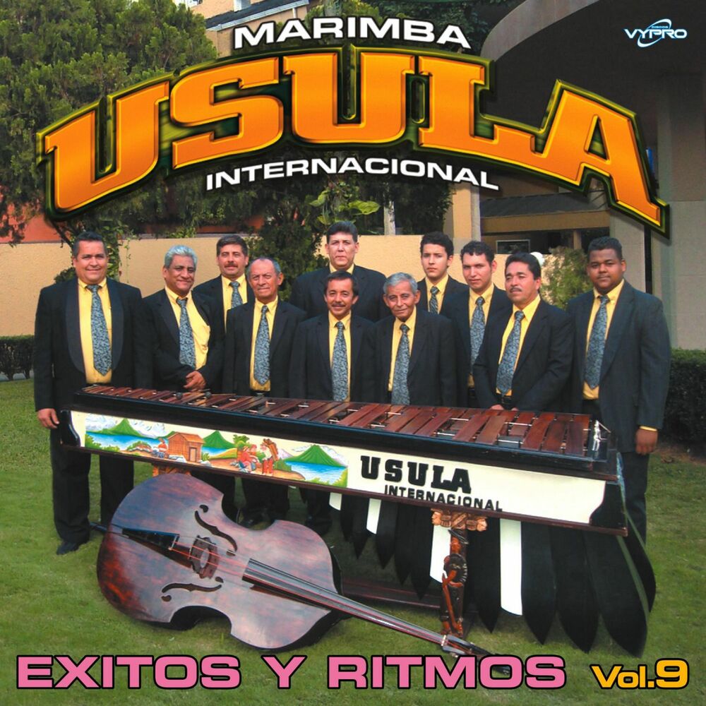 Picture of Exitos y Ritmos Vol. 9