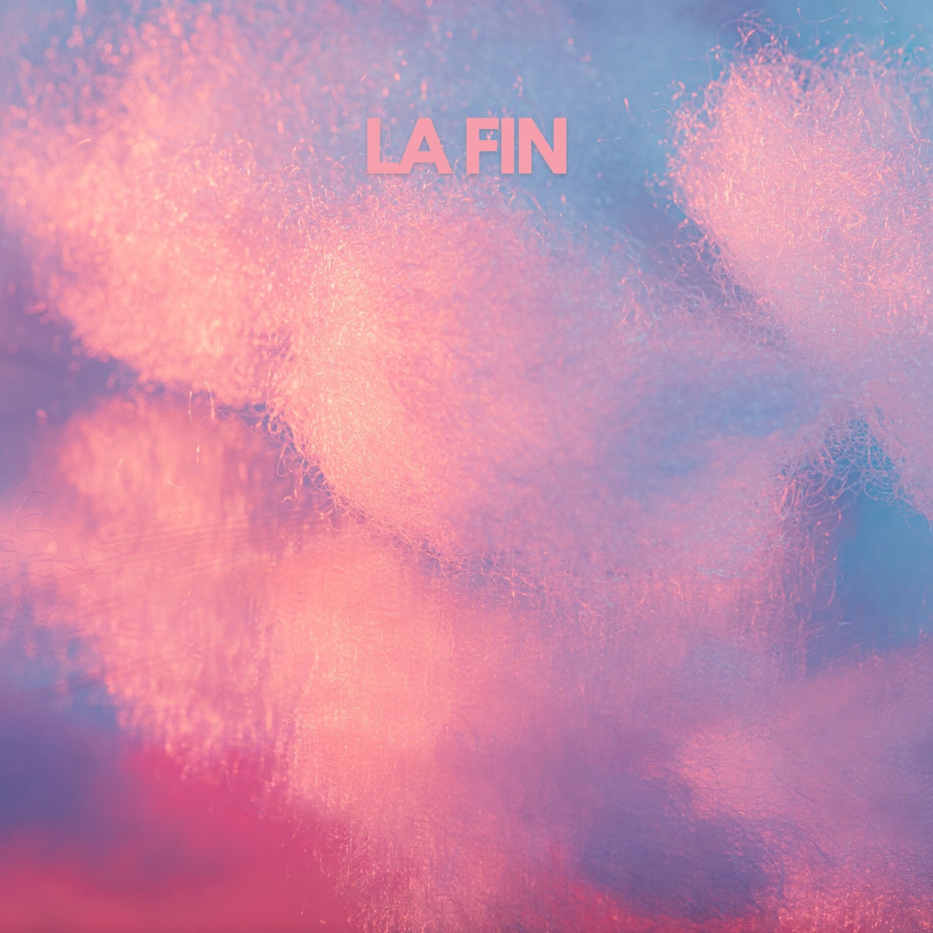 Album cover of La Fin
