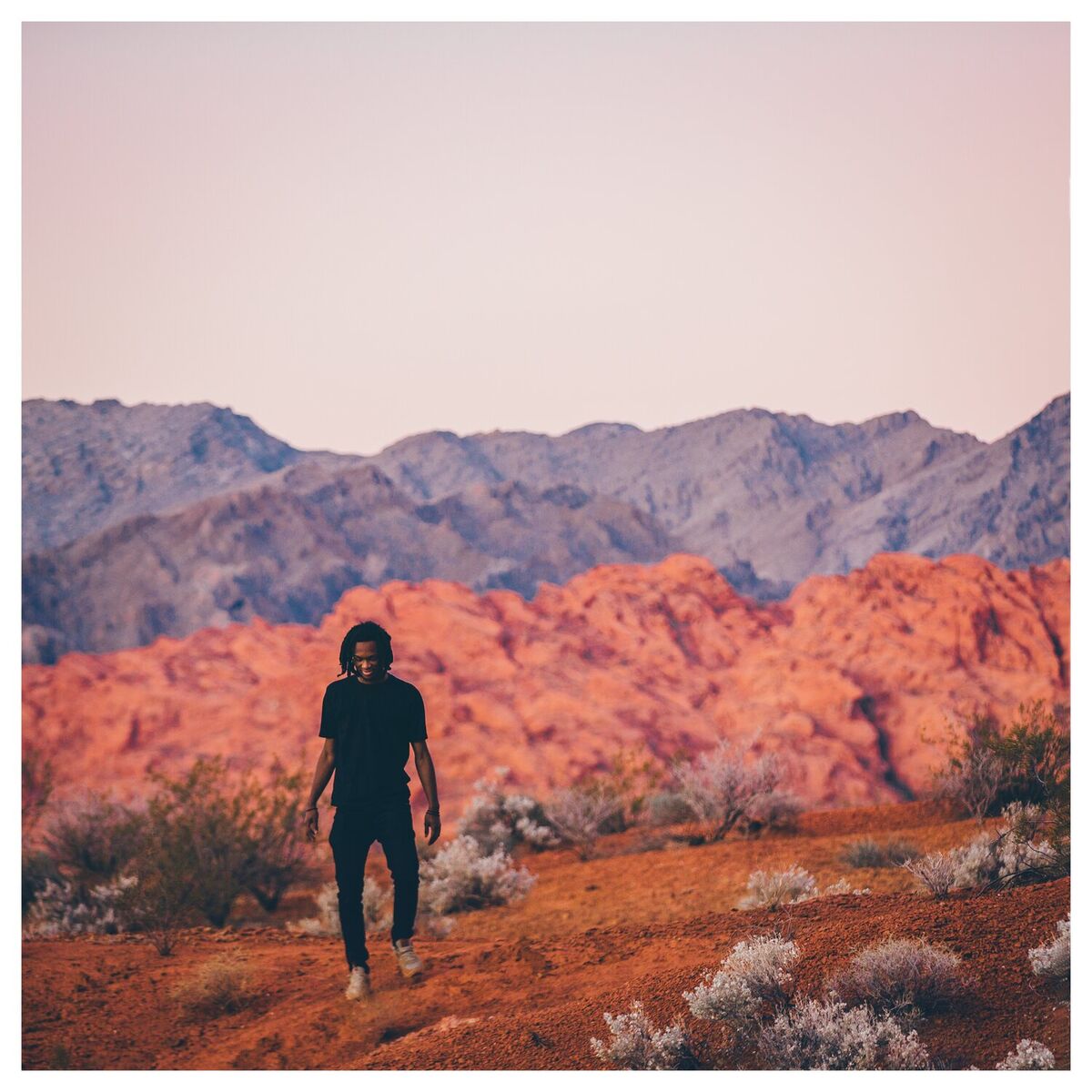 Album cover of Photosynthesis