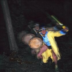 Cover of Paranoid