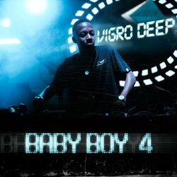 Cover of Baby Boy 4