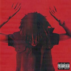 Cover of Disturbing The Peace