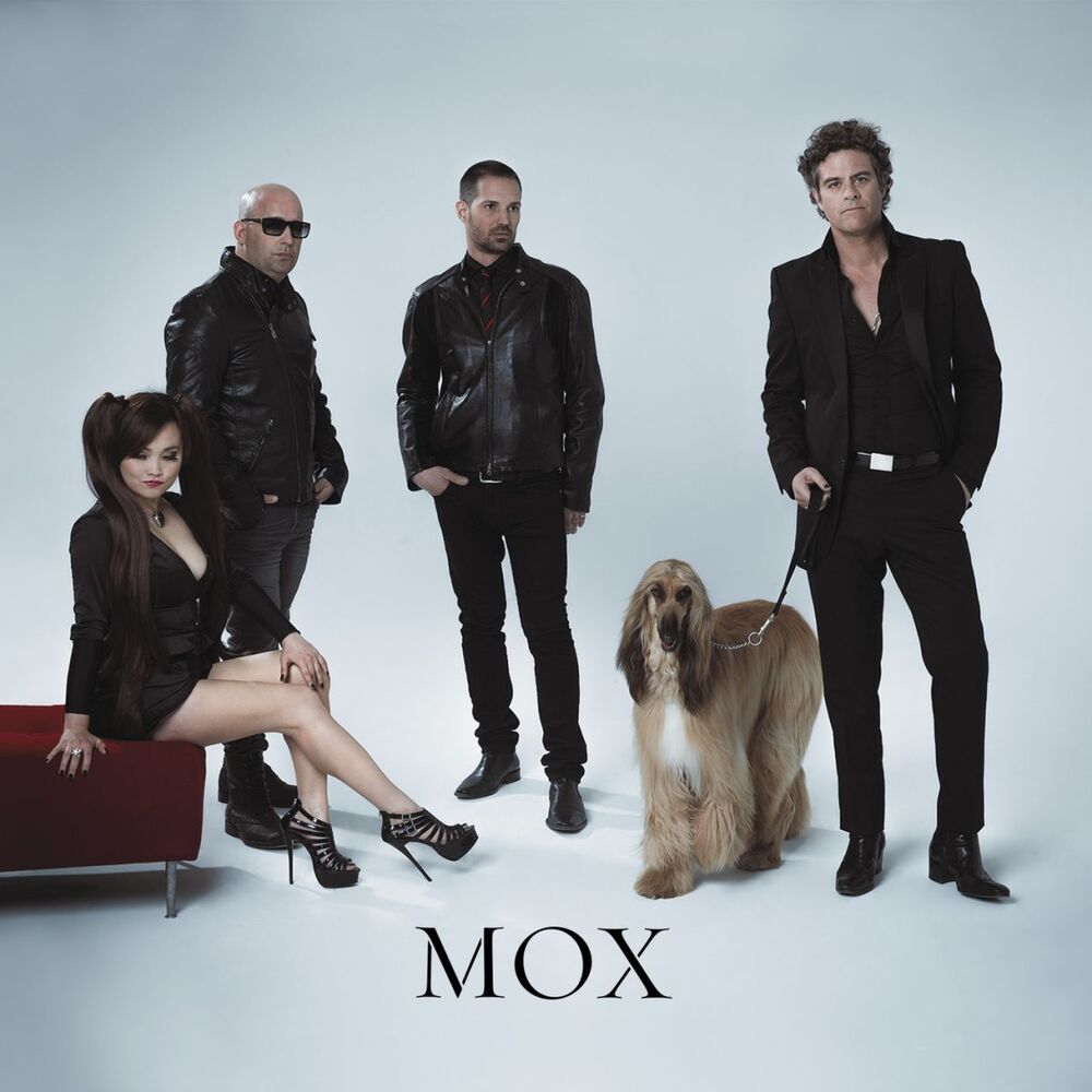 Picture of MOX