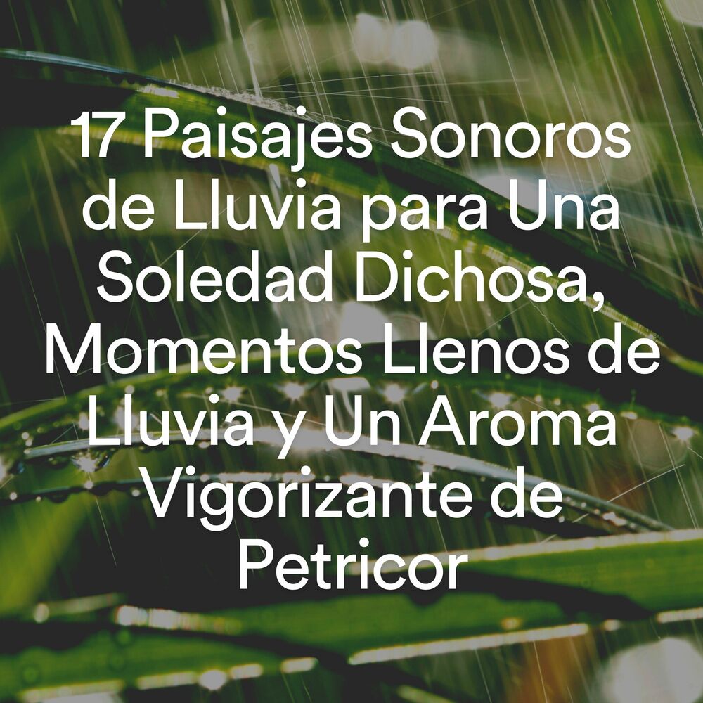 Picture of 17 Paisajes Sonoros de Lluvia para una Soledad Dichosa, Momentos Llenos de Lluvia y un Aroma Vigorizante de Petricor