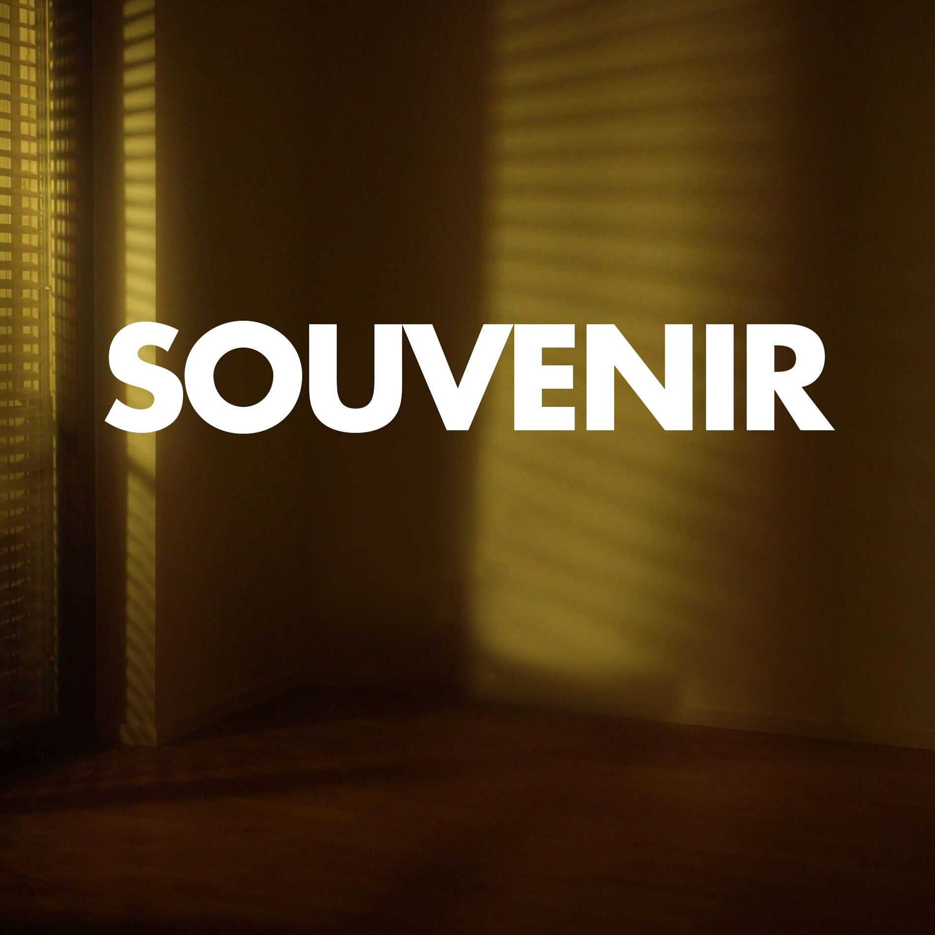 Album cover of Souvenir EP