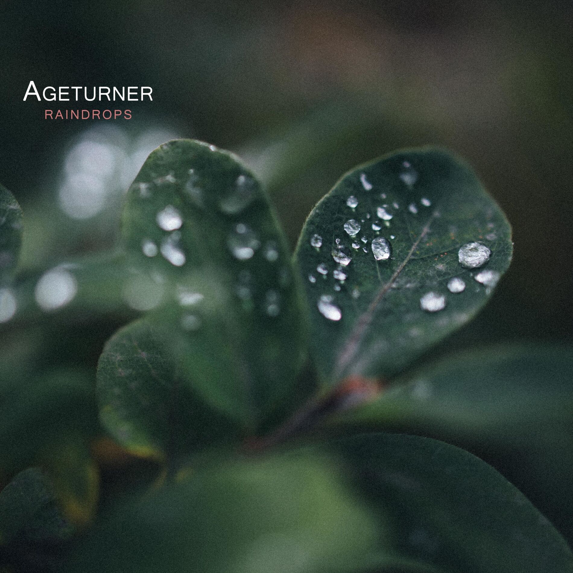 Album cover of Raindrops