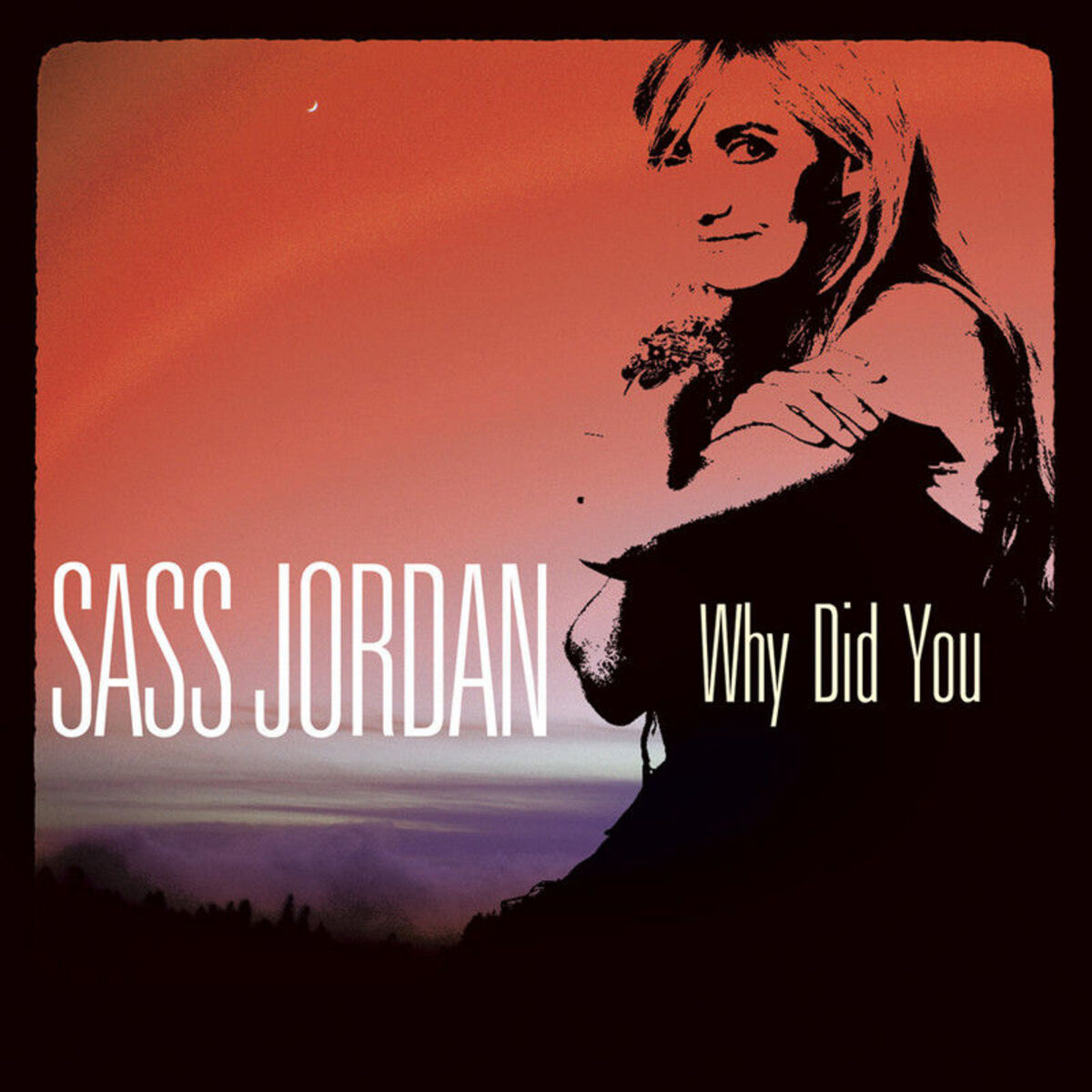 Album cover of Why Did You