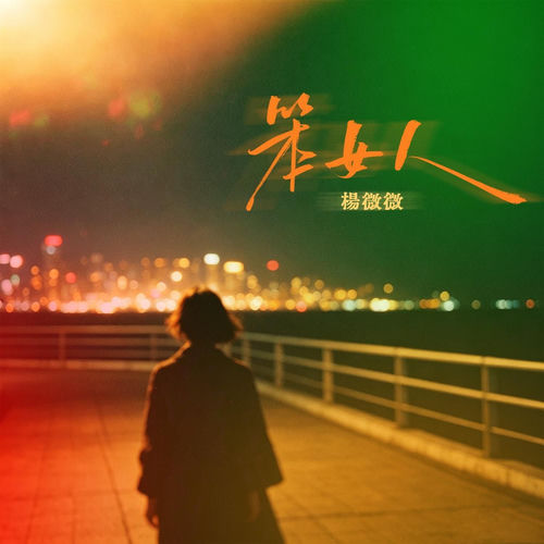 笨女人