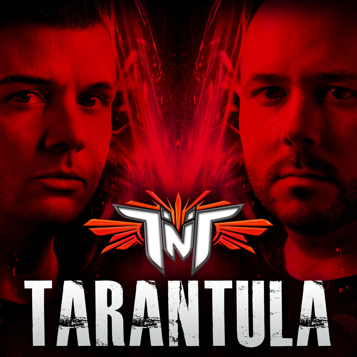 Album cover of Tarantula