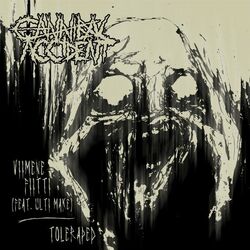 Cover of Viimene Fiitti / Toleraped