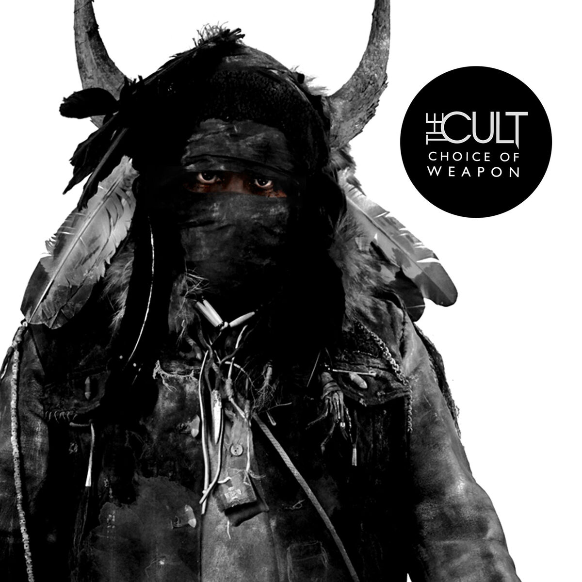 Album cover of Until the Light Takes Us
