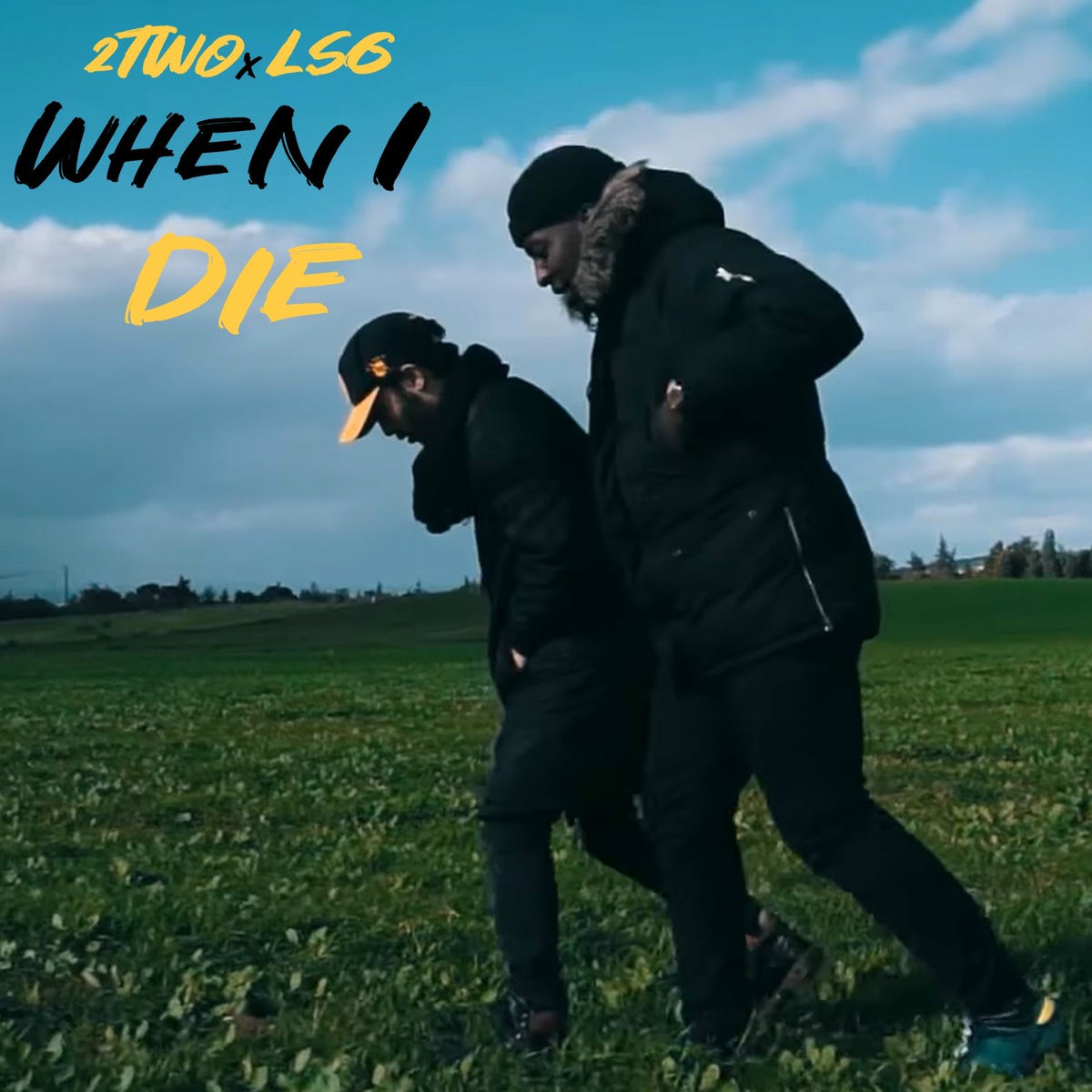 Album cover of When I die