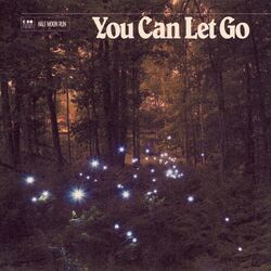 Cover of You Can Let Go