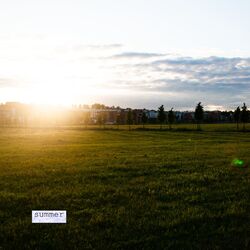 Cover of Summer