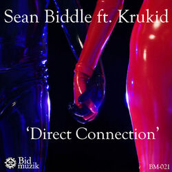 Cover of Direct Connection