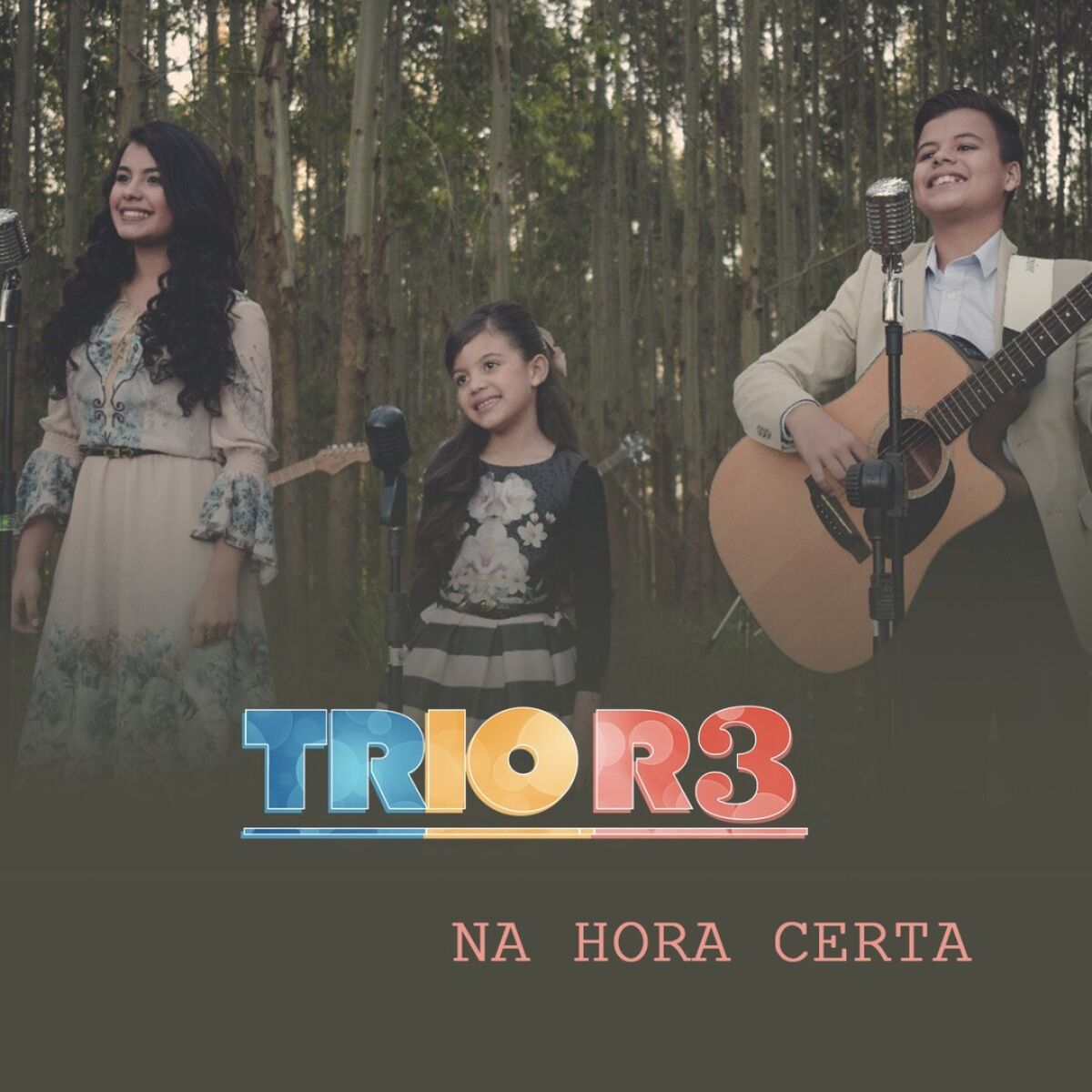 Album cover of Na Hora Certa