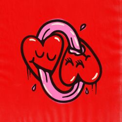 Cover of Il Doc 2