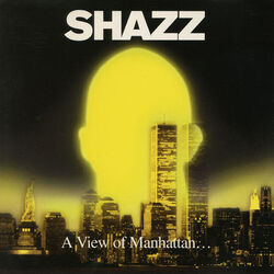 Cover of A View Of Manhattan
