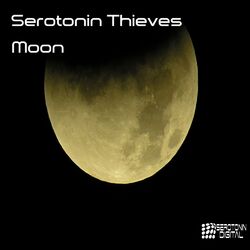 Cover of Moon