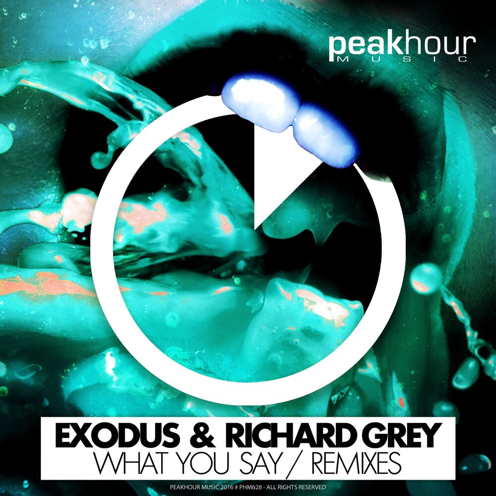 Picture of What You Say (Remixes)