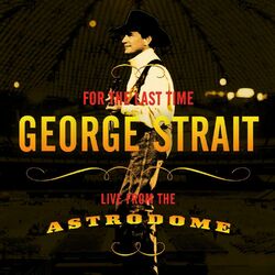 Cover of For The Last Time