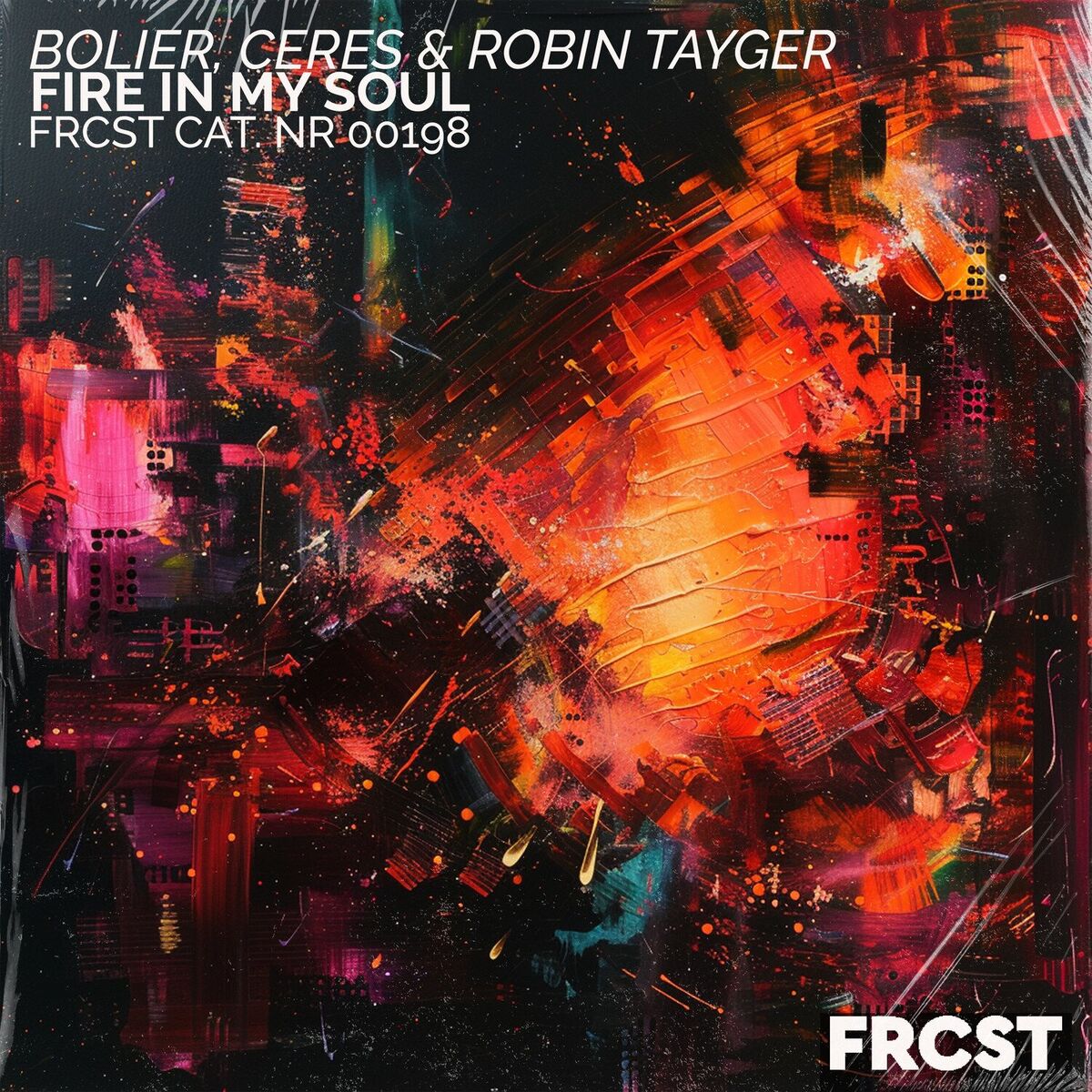 Album cover of Fire in My Soul