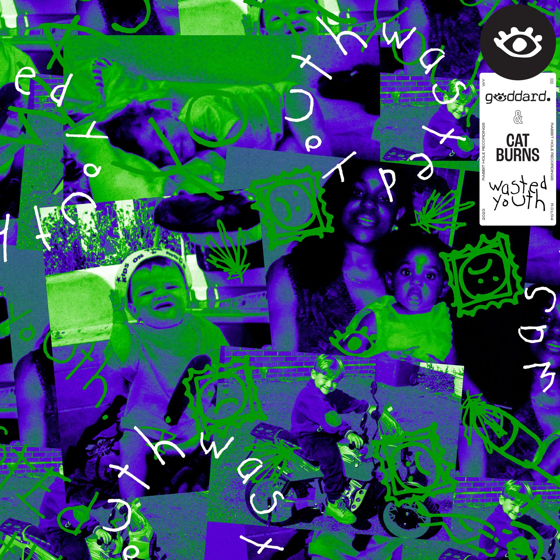 Album picture of Wasted Youth