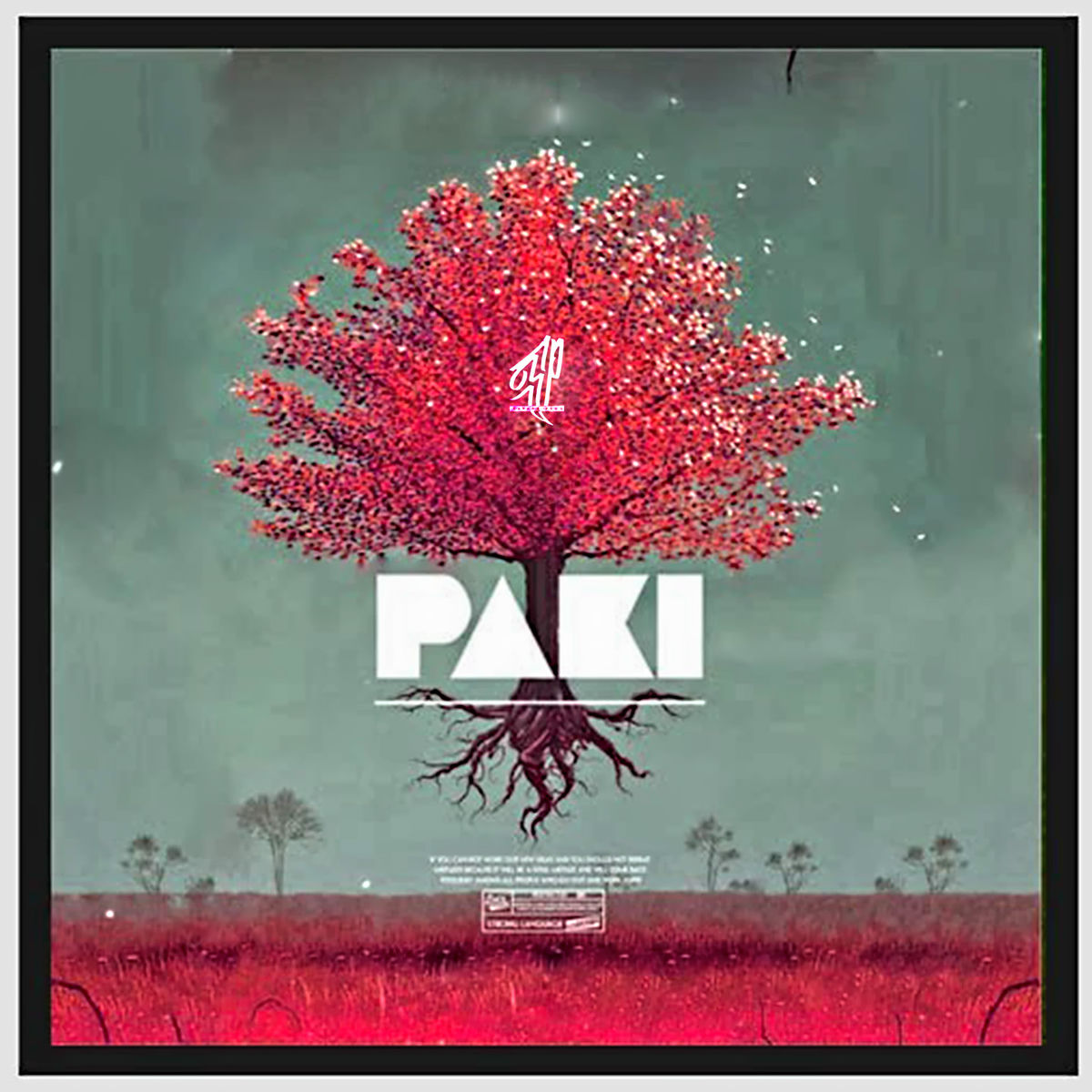 Album cover of Paki
