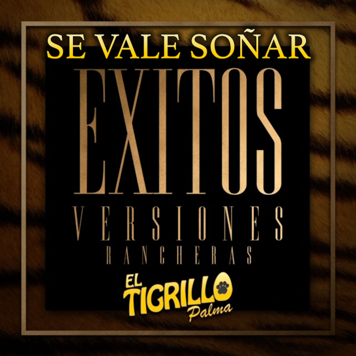 Album cover of Se Vale Soñar